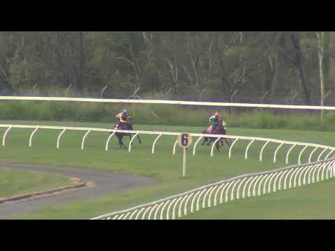 Rockhampton Barrier Trials January 11, 2019, Heat 6 (900m)