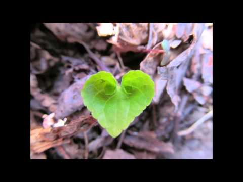 Its All The Same - Adrienne Young