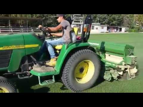Semina/Seeding hybrid grass POWERgrass
