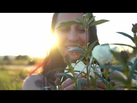 La Siberia - Día de la Comarca 2025