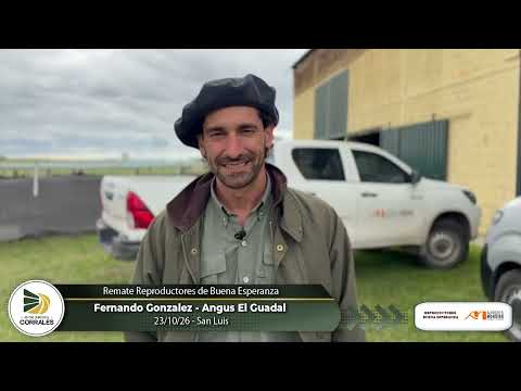 23-10-26 - Fernando Gonzalez - Angus El Guadal - Remate Reproductores de Buena Esperanza - San Luis