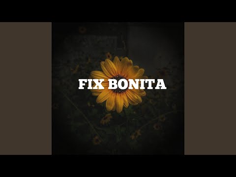 FIX BONITA