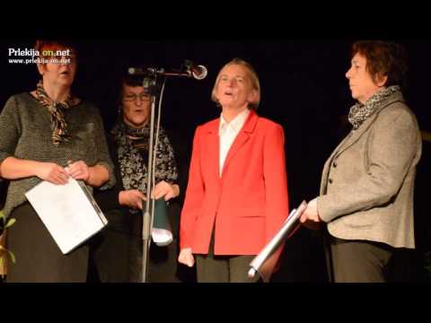 Predstavitev zbirke pesmi Moje pesmi niso sanje