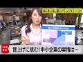 【中小企業アンケート】賃上げ・価格転嫁の現状は？中小企業に独自調査 深掘り解説（2023年3月15日）