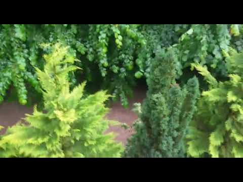 Hochwasser Frickingen 2016