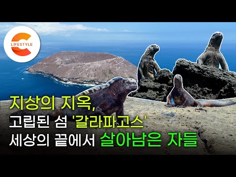 지옥에서 살아남기 위해 '진화'하다. 저주의 섬 '갈라파고스'에서 살아남은 자들의 수난과 생존 전략