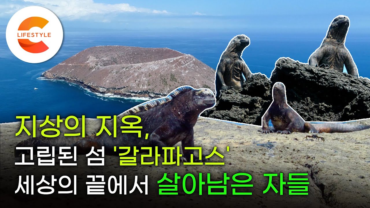 지옥에서 살아남기 위해 '진화'하다. 저주의 섬 '갈라파고스'에서 살아남은 자들의 수난과 생존 전략