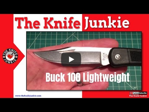 Buck 110 Light Weight Folding Hunter