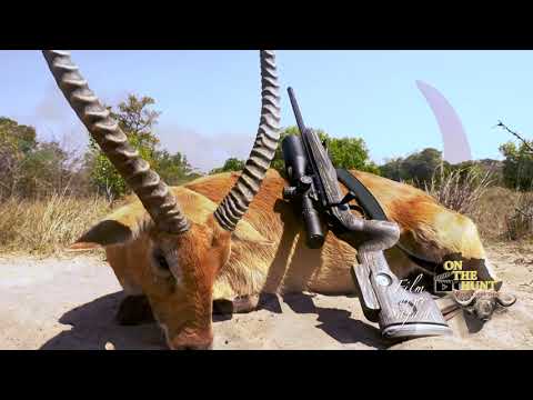 ON THE HUNT MULTIMEDIA