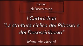 La forma ciclica del ribosio e del desossiribosio - L8