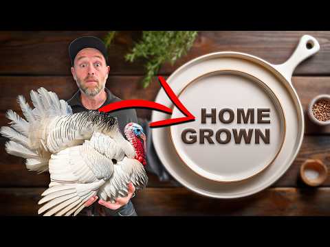 2.5 Years to Thanksgiving Dinner: Our Permaculture Journey