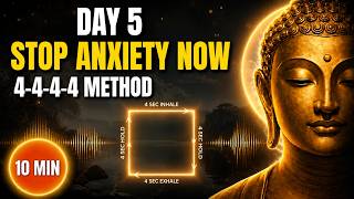 Nervous System Reset: 10-Minute Box Breathing for Anxiety and Stress (Day 5/30)
