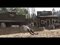 Things A Professional Stuntman Can Do