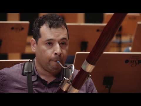 Instrumentos de Orquestra |  Alexandre Silvério