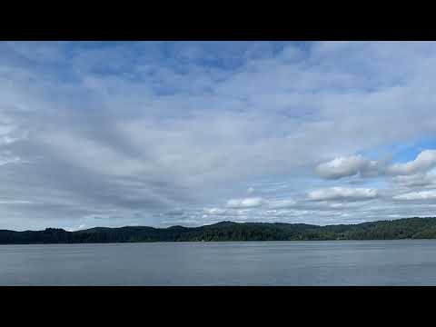 .....Alsea .....07112020....