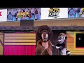 Madagascar Stars Of The Jungle Reem Mall August 2025
