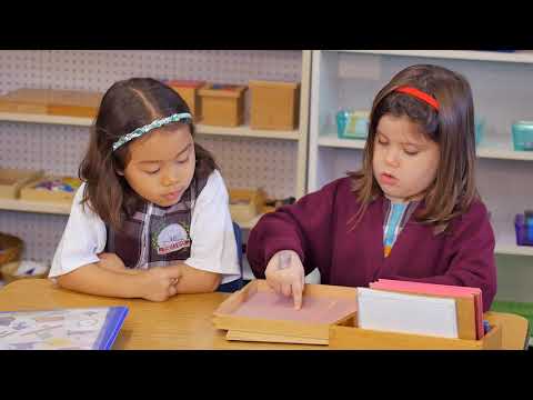 Mixed Age Groups and the Progression from Simple to Complex