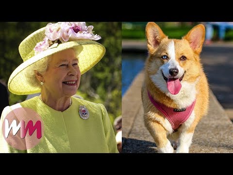 Top 10 Things You Never Knew About The Queen