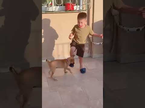 kulitan tym / Charlie&Benjie #petlover