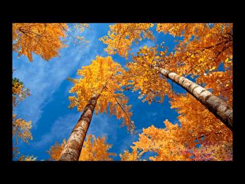 Knife Party vs. Keane & Alesso - Silenced By Rage (Tuni Mash Up)