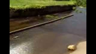 preview picture of video 'Cove Lake Spillway-05-28-13'