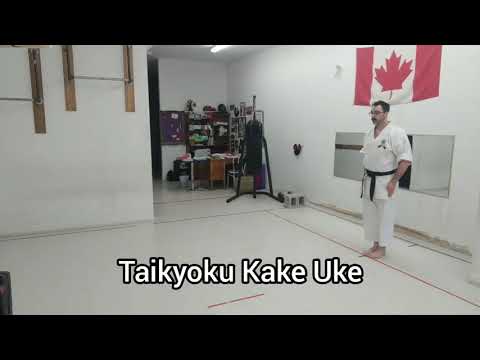 Taikyoku Kake Uke