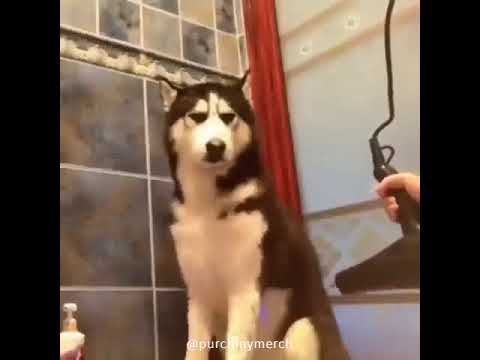 '๐ฌ๐ฆ๐ฆ๐ฎ๐ด๐ต๐ข๐ณ ๐ช๐ด ๐ข ๐ค๐ฉ๐ฐ๐ณ๐ฆ ๐ต๐ฐ ๐ญ๐ช๐ด๐ต๐ฆ๐ฏ ๐ต๐ฐ' -๐ฏ๐๐ ๐ด๐ด๐ด #TrumpHatesOurVeterans | โpurchmymerchโ ๐
ผ๐
ด๐
ผ๐
ด