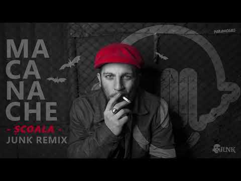 Macanache - Școala (Junk Remix)