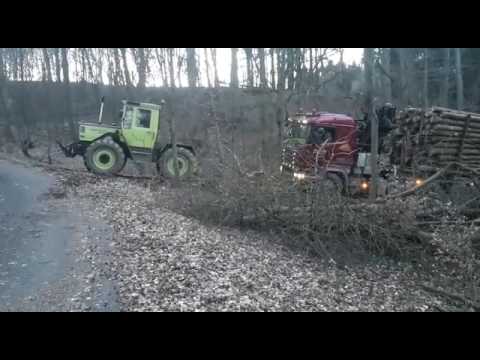 So wird Langholz gefahren