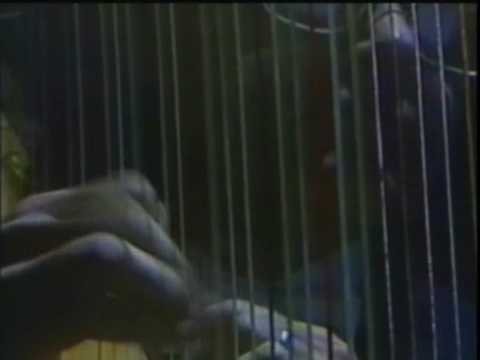 Elton John - Sixty Years On live in Sydney 1986