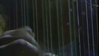 Elton John - Sixty Years On live in Sydney 1986