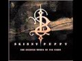 Skinny Puppy- Pro-Test 