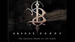 Skinny Puppy- Pro-Test