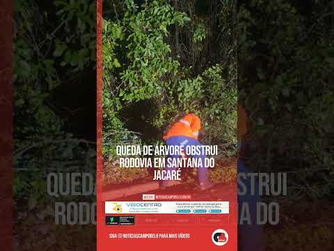 Queda de árvore obstrui rodovia em Santana do Jacaré #Shorts