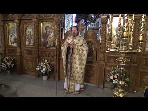 Întâmpinarea Domnului, Duminica Cananeencei, predica pr. Adrian Chiriță (02.02.2020)