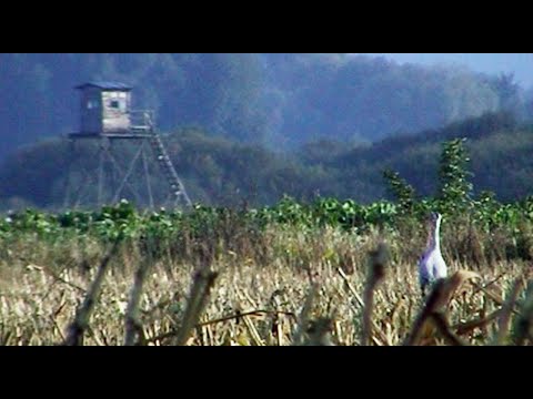 Ein Jagdrevier im Wandel der Jahreszeiten