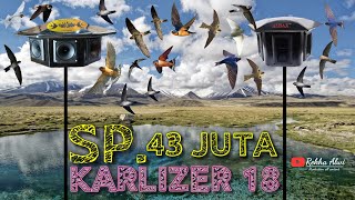 Download lagu SP. 43 JUTA KARLIZER 18 | Original By Atax Walet | Suara Panggil Walet | Swiftlet Sound #walet mp3