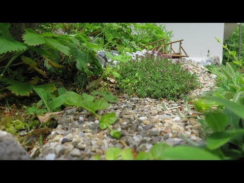 Meine Gartenbahn - Randbilder