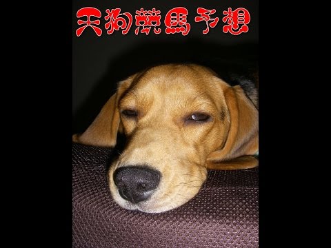 第76回　優駿牝馬　オークスＧⅠ