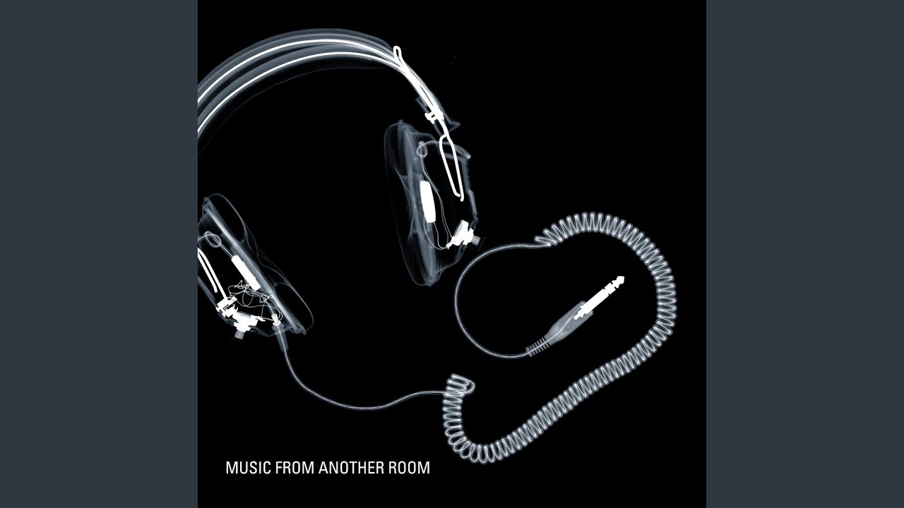 The Juliana Theory - Liability