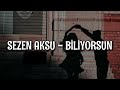 Sezen Aksu - Biliyorsun (Lyrics/Şarkı Sözleri)