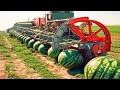 Farmers Use Farming Machines You've Never Seen / Incredible Ingenious Agriculture Inventions