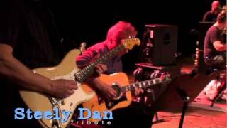 Any Major Dude - Steely Dan Tribute