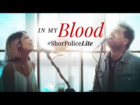 In My Blood – Shawn Mendes