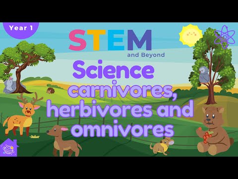 Carnivores, Herbivores and Omnivores | KS1 Year 1 Science |  Home Learning
