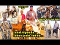 சிறுவாச்சூர் ஆட்டு சந்தை நிலவரம் Siruvachu