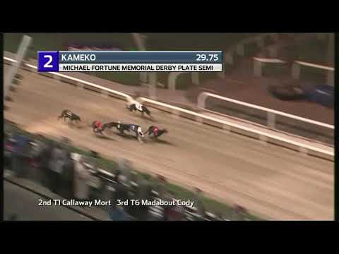 2021 IRISH DERBY PLATE - 1ST SEMI - T2 KAMEKO