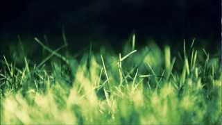 Mr. Little Jeans - The Suburbs HQ