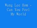 Wang Lee Hom - Can You Feel My World 