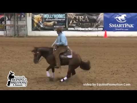Gunners Tinseltown ridden by Sam Schaffhauser   2014 NRBCOpen Classic Finals Sec  2